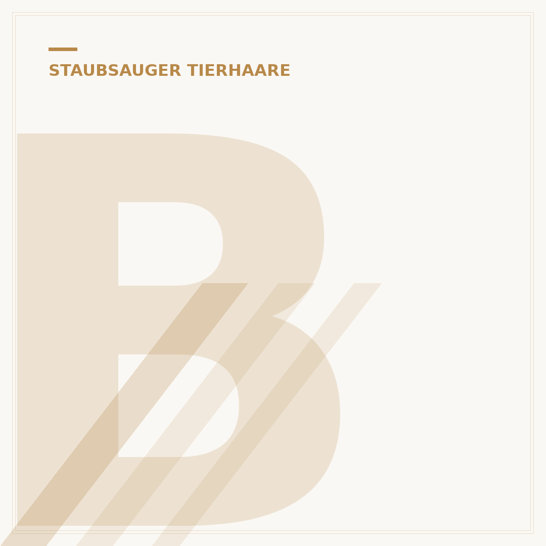 Beste Staubsauger bei Tierhaaren: 5 Top-Modelle für Hunde & Katzen