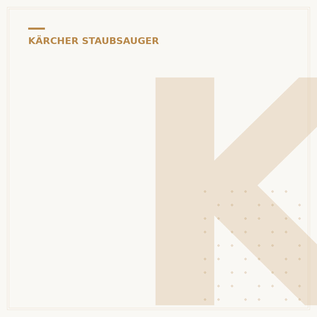 Kärcher Staubsauger bei Bauhaus: Ihr Kaufguide 2024