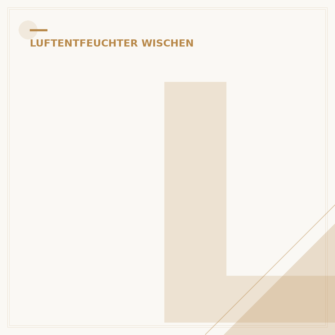 Luftentfeuchter: 5 Top-Orte zum Aufstellen für optimale Ergebnisse