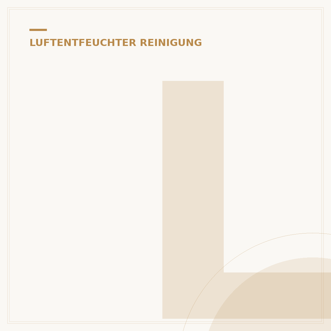 Luftreiniger und Luftentfeuchter: 3 Kriterien für Ihre Wahl