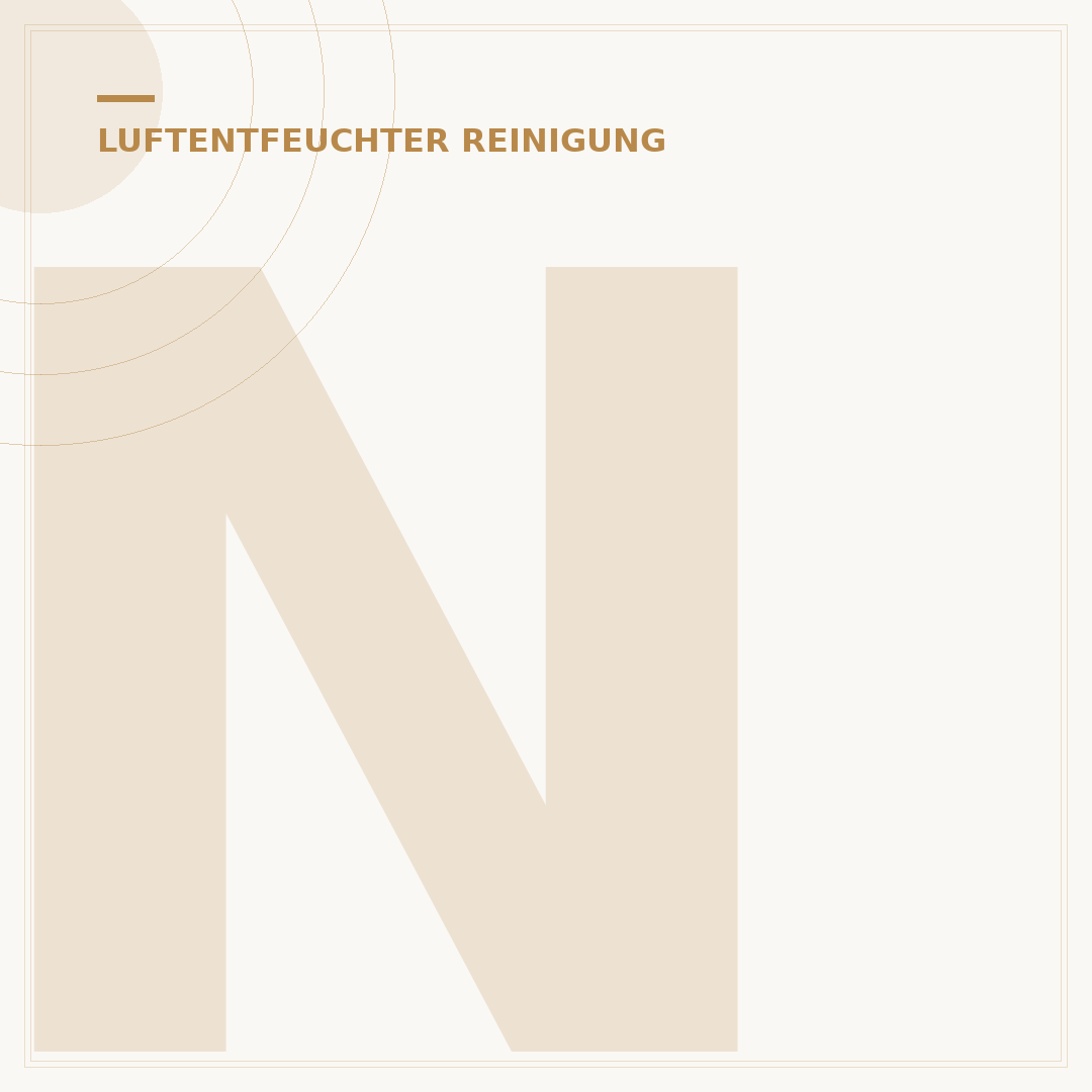 Newentor Luftentfeuchter Filter Reinigen: 5 Schritte zur Langlebigkeit