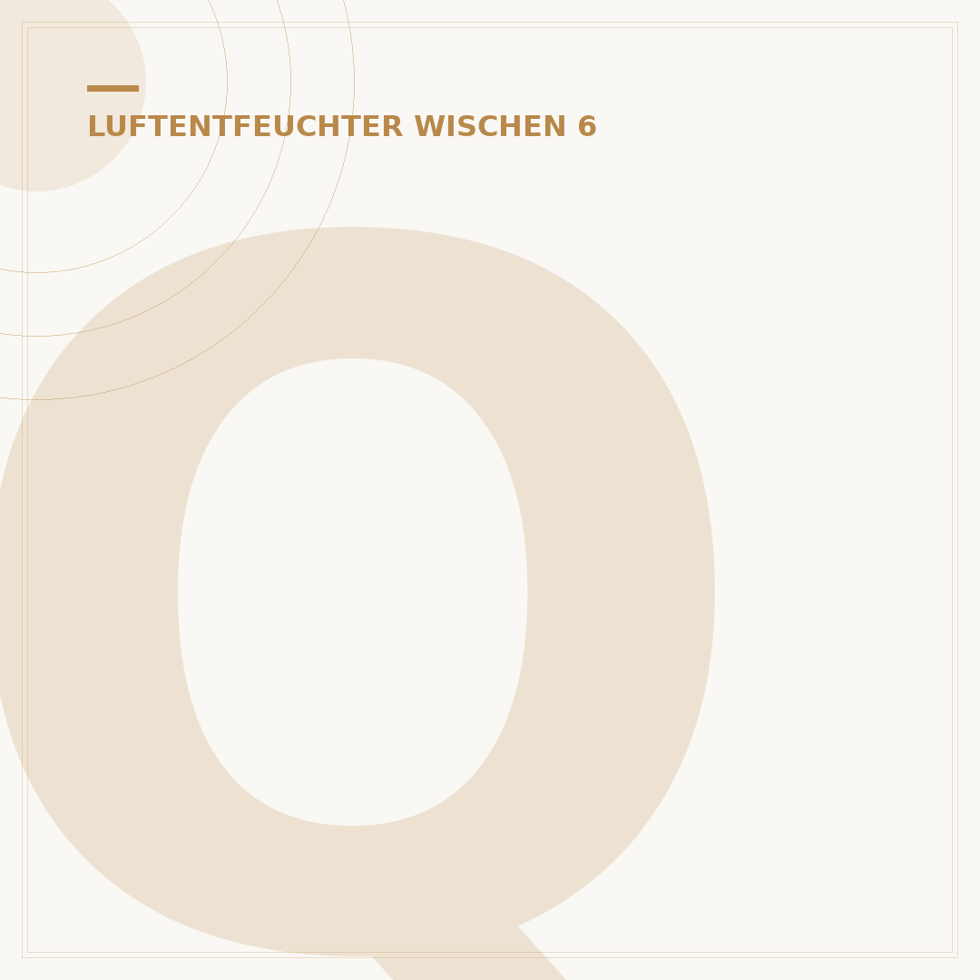 Quest Luftentfeuchter: 5 Tipps für Ihr Zuhause