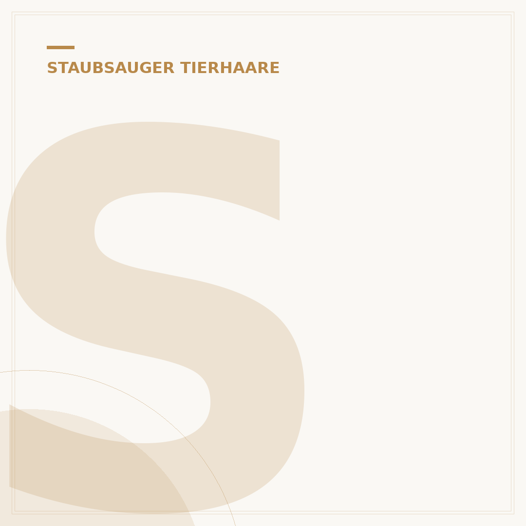 Staubsauger mit Elektrobürste für Tierhaare: 7 Top-Tipps für Sauberkeit