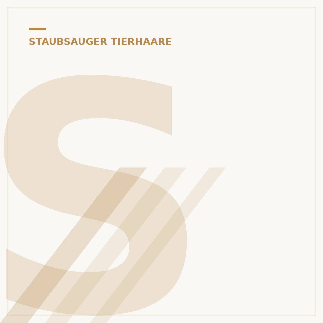 Staubsauger bei Haustieren: 5 Top-Modelle für Tierhaare