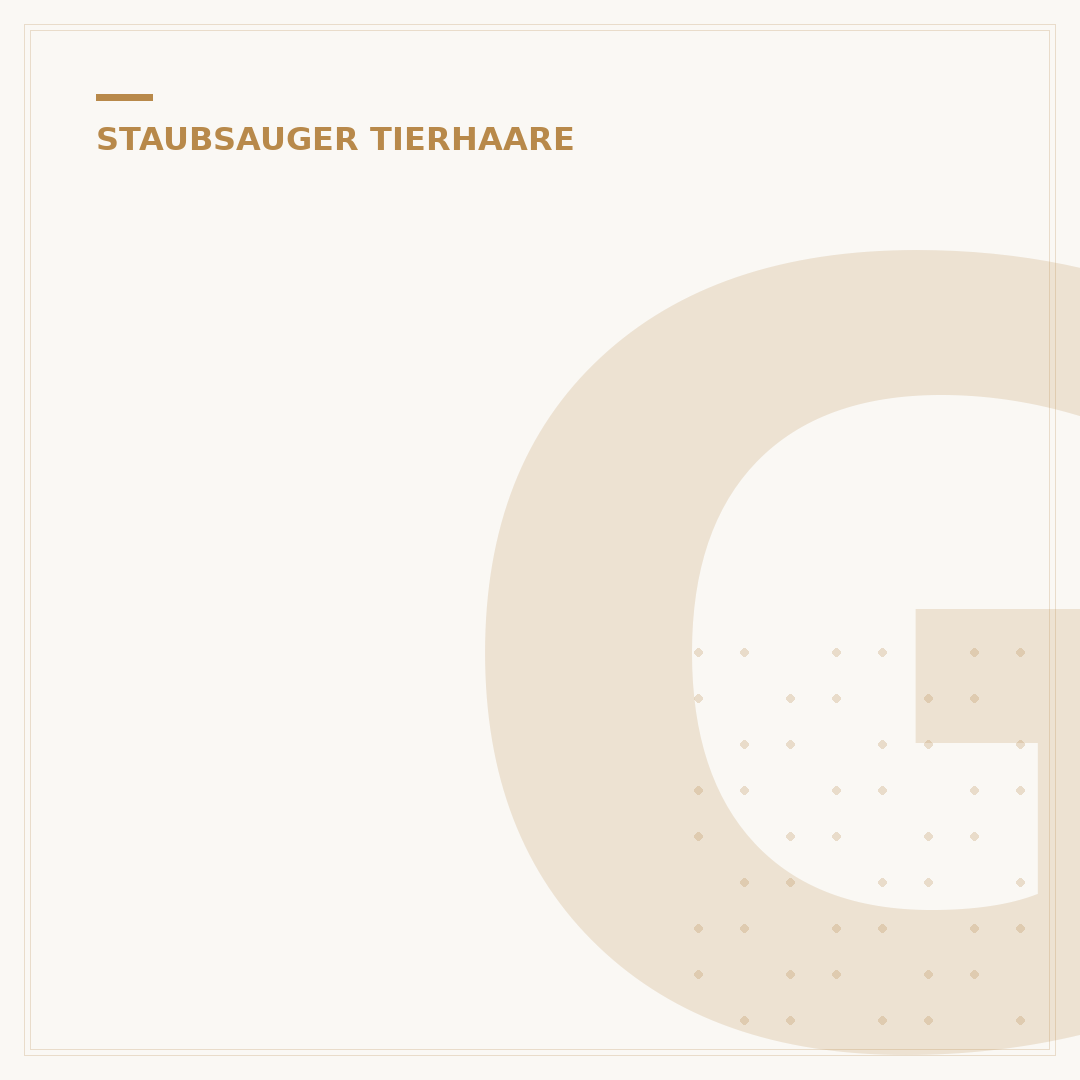 Guter Staubsauger bei Tierhaaren: Die Top 5 Modelle im Test