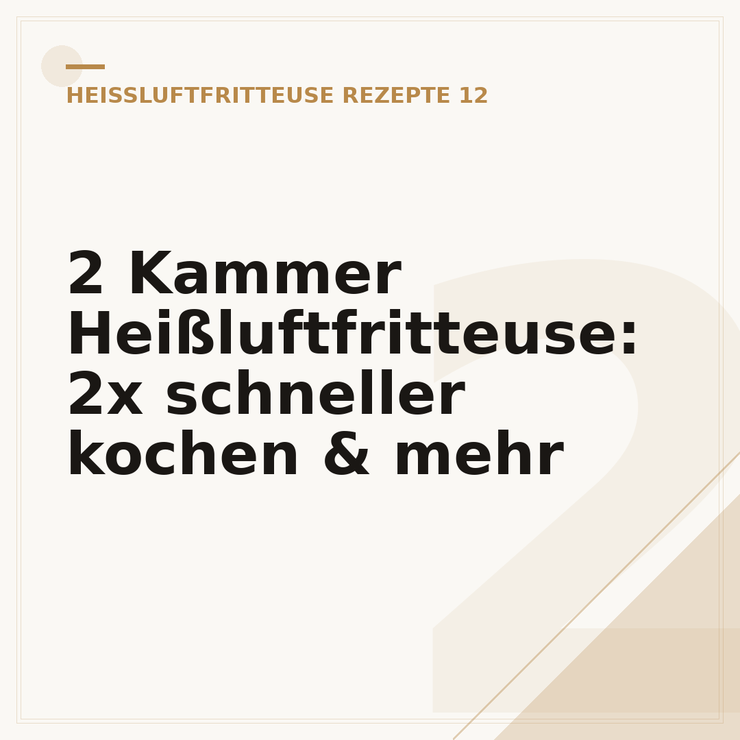 2 Kammer Heißluftfritteuse: 2x schneller kochen & mehr