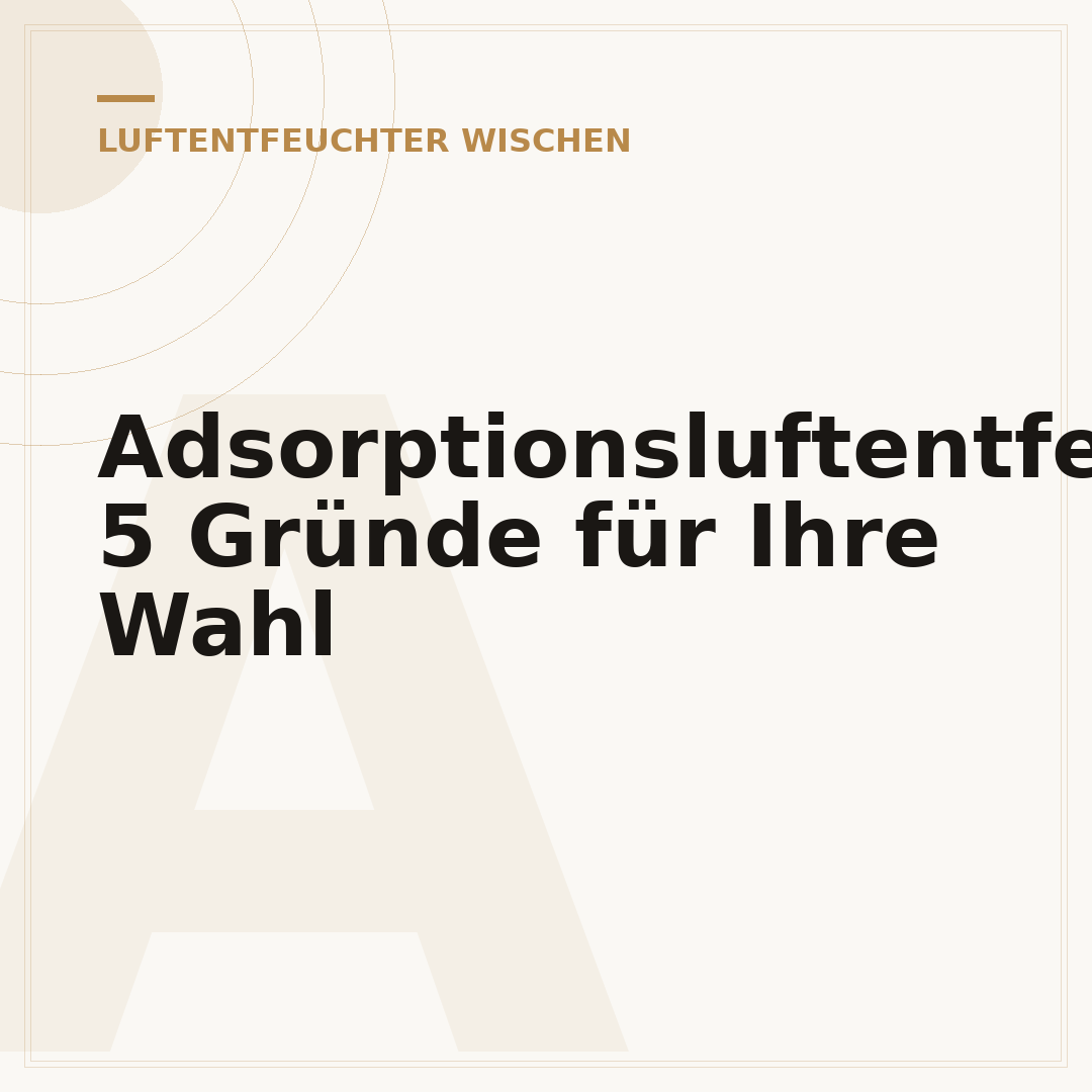 Adsorptionsluftentfeuchter: 5 Gründe für Ihre Wahl