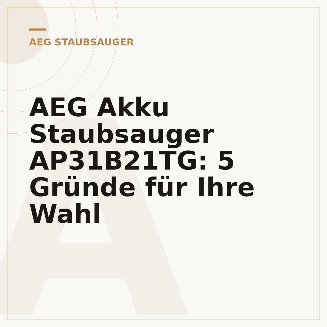 AEG Akku Staubsauger AP31B21TG: 5 Gründe für Ihre Wahl