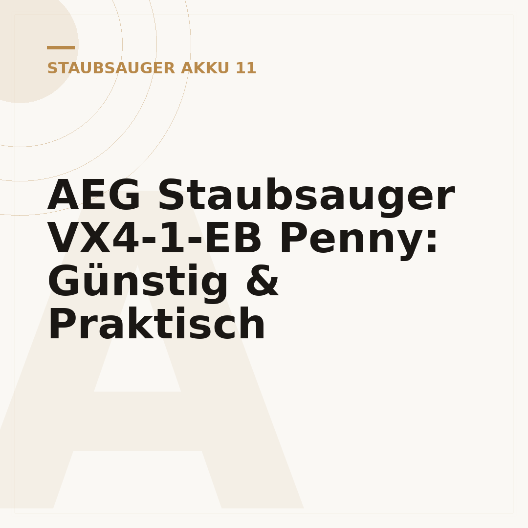 AEG Staubsauger VX4-1-EB Penny: Günstig & Praktisch
