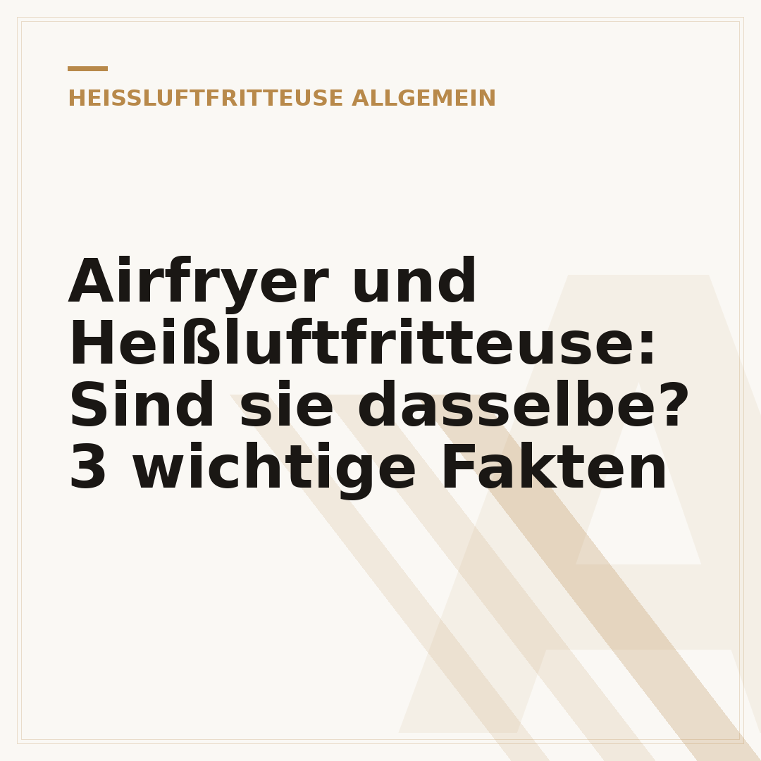 Airfryer und Heißluftfritteuse: Sind sie dasselbe? 3 wichtige Fakten