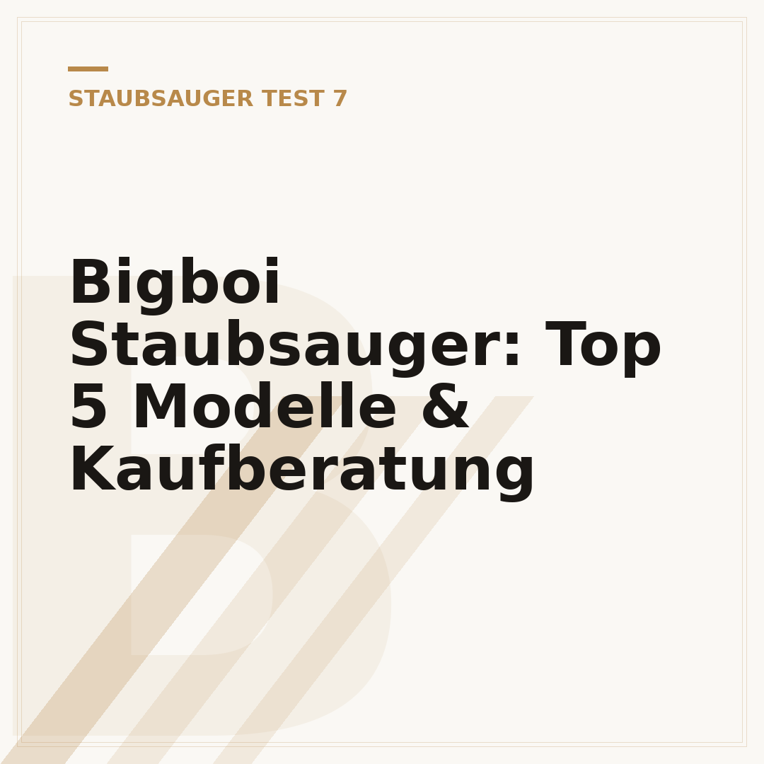 Bigboi Staubsauger: Top 5 Modelle & Kaufberatung