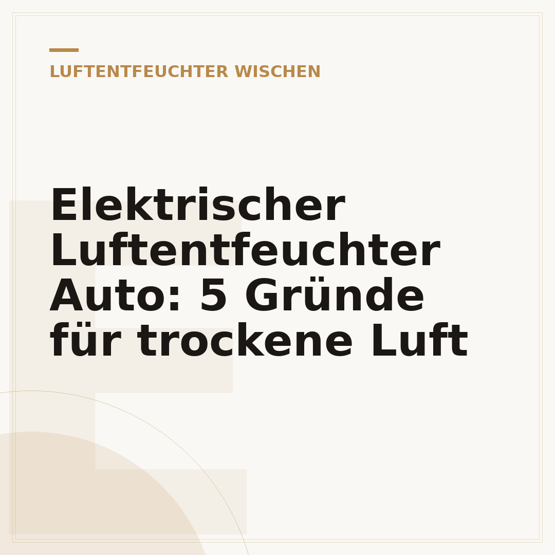 Elektrischer Luftentfeuchter Auto: 5 Gründe für trockene Luft