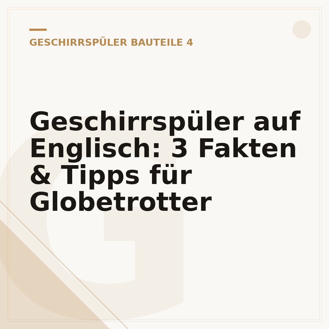 Geschirrspüler auf Englisch: 3 Fakten & Tipps für Globetrotter