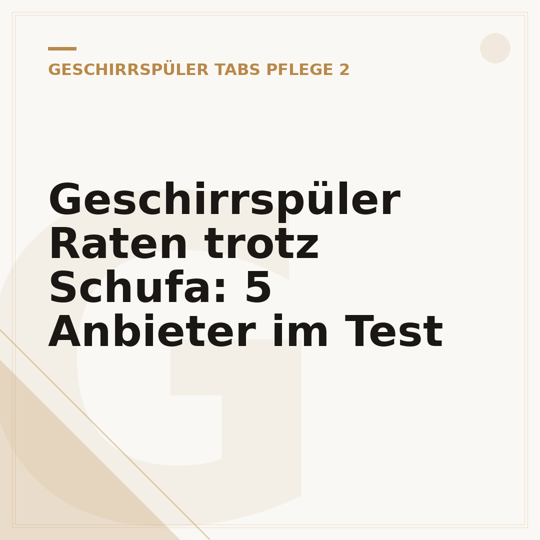 Geschirrspüler Raten trotz Schufa: 5 Anbieter im Test