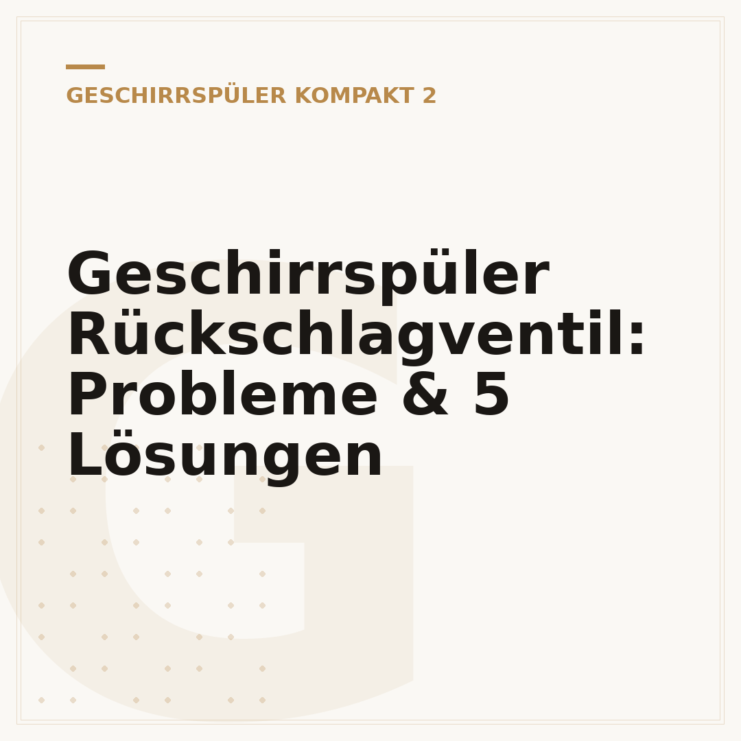 Geschirrspüler Rückschlagventil: Probleme & 5 Lösungen