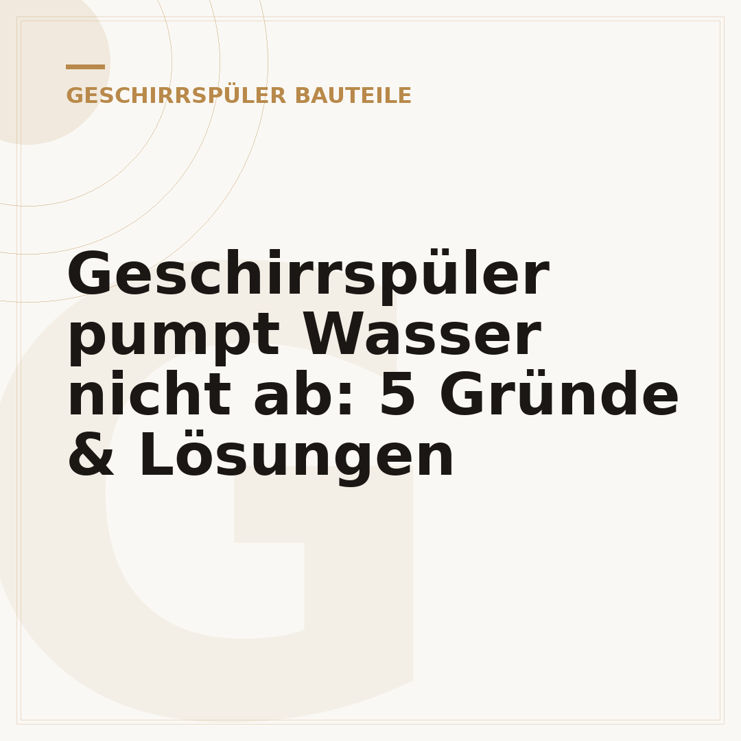 Geschirrspüler pumpt Wasser nicht ab: 5 Gründe & Lösungen