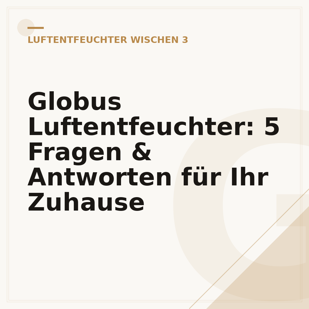 Globus Luftentfeuchter: 5 Fragen & Antworten für Ihr Zuhause