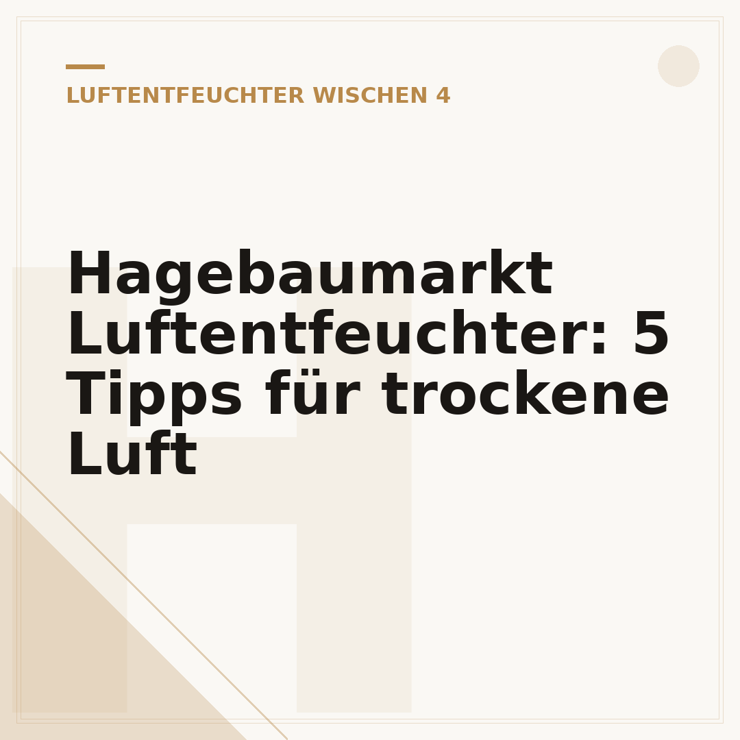 Hagebaumarkt Luftentfeuchter: 5 Tipps für trockene Luft