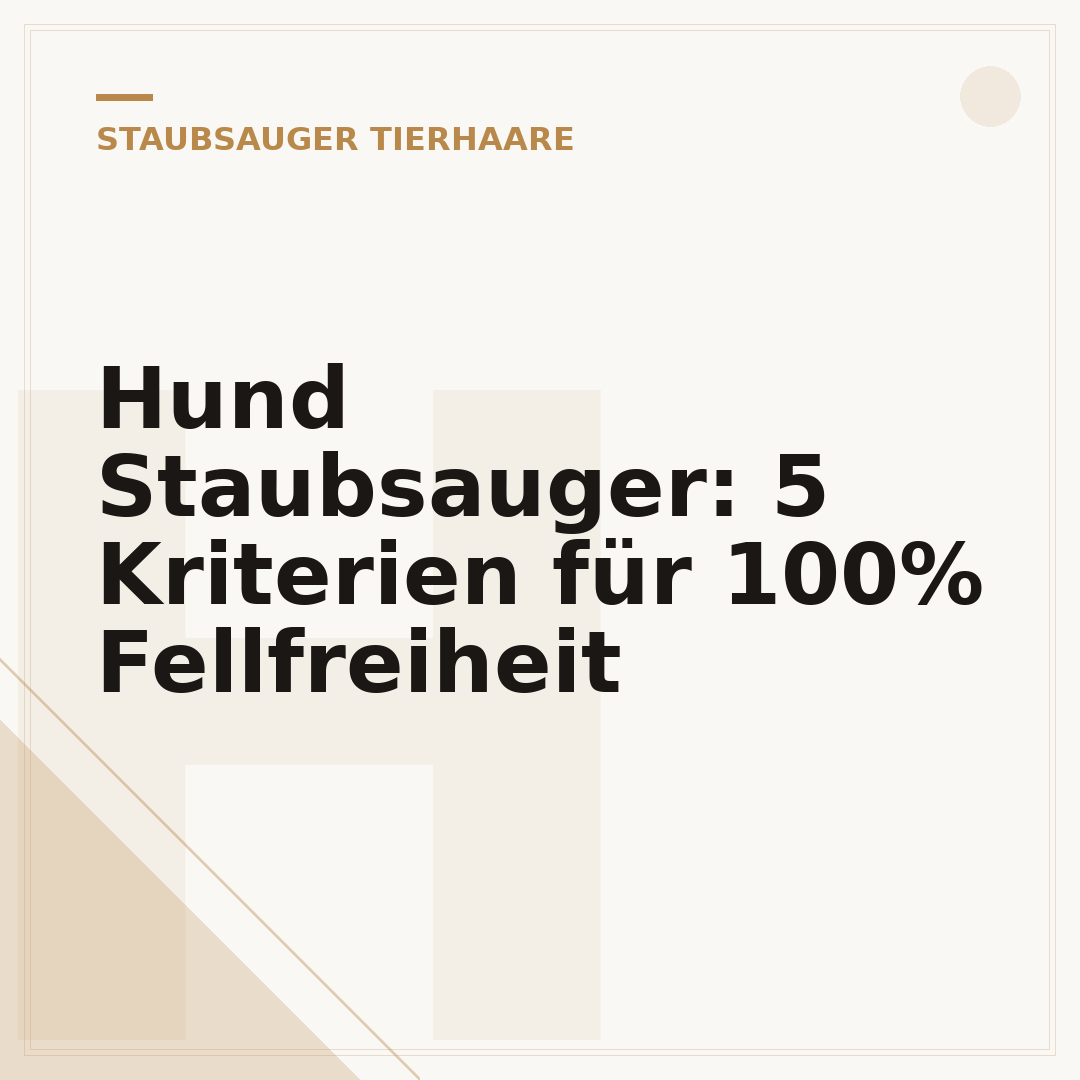 Hund Staubsauger: 5 Kriterien für 100% Fellfreiheit