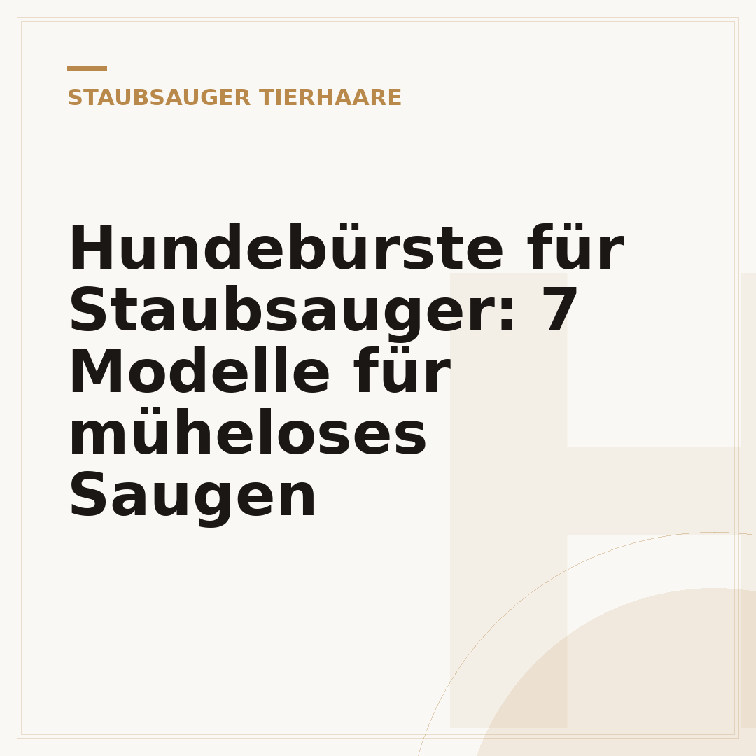 Hundebürste für Staubsauger: 7 Modelle für müheloses Saugen