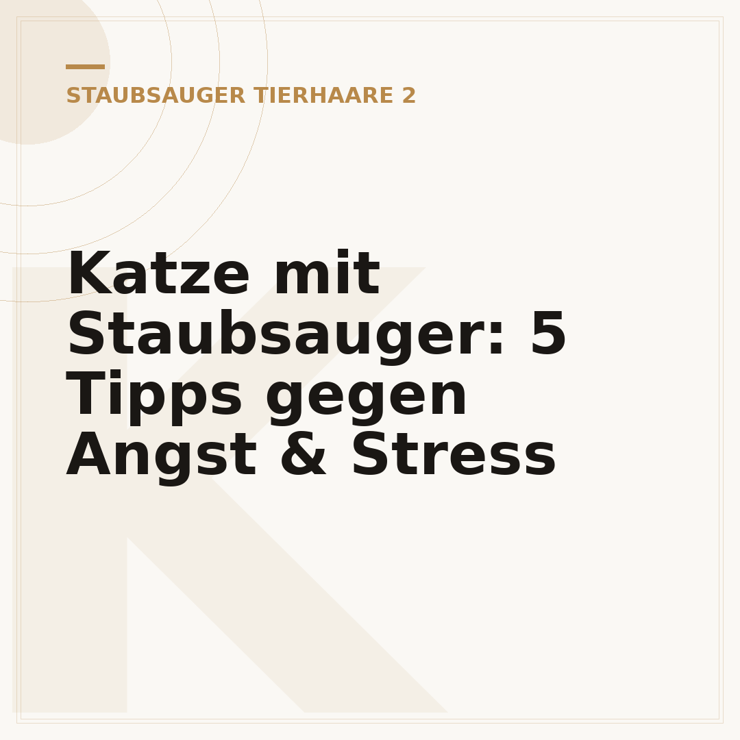 Katze mit Staubsauger: 5 Tipps gegen Angst & Stress