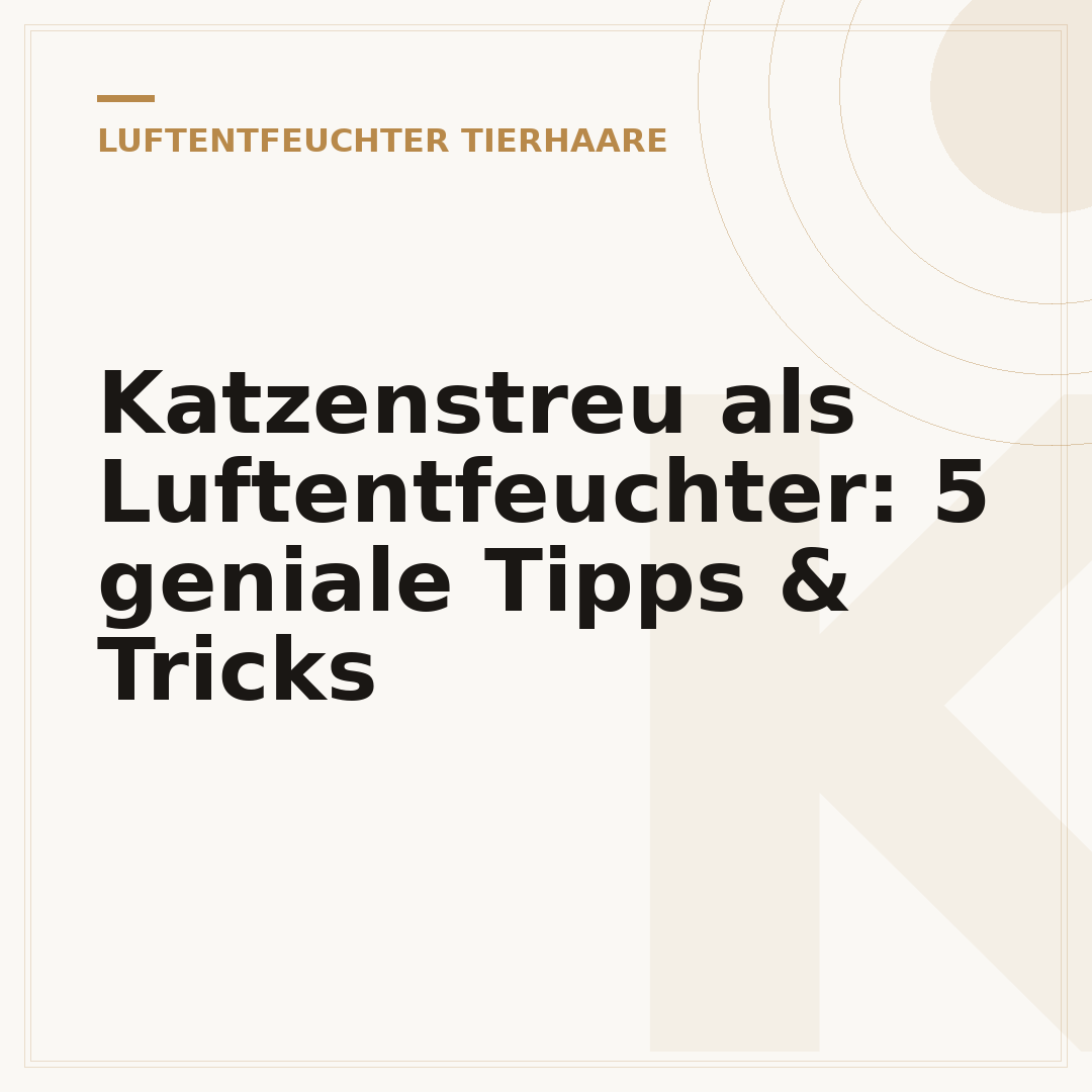 Katzenstreu als Luftentfeuchter: 5 geniale Tipps & Tricks