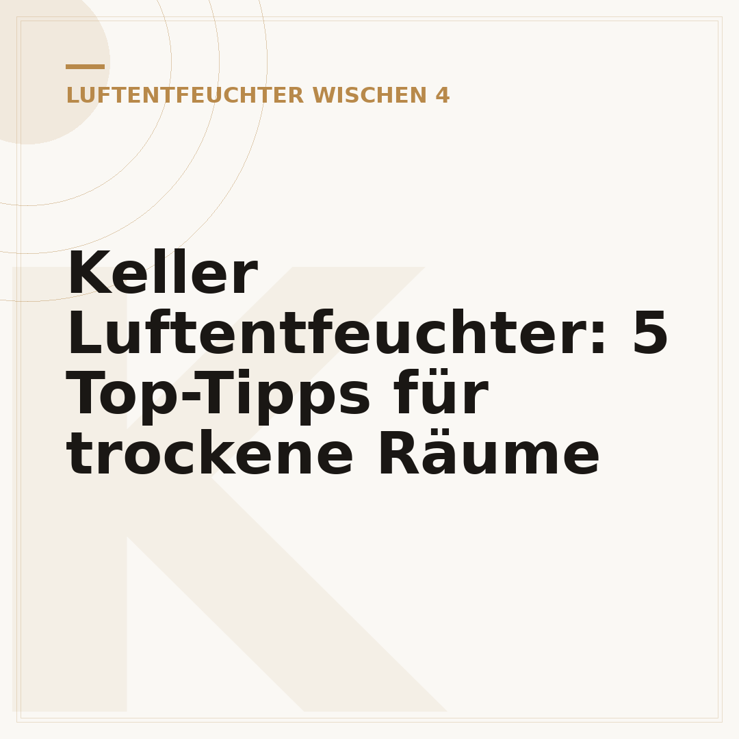 Keller Luftentfeuchter: 5 Top-Tipps für trockene Räume