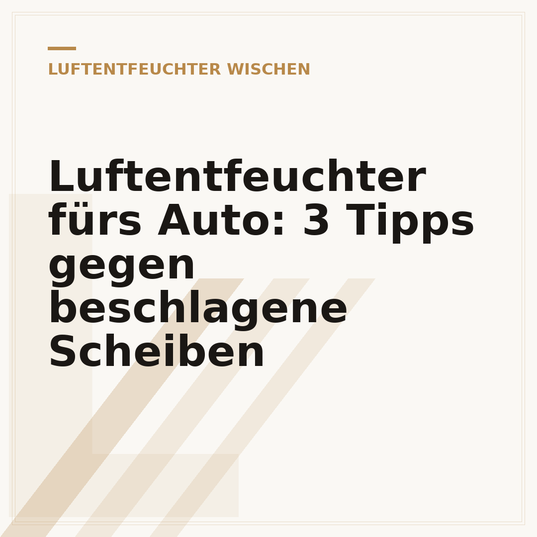 Luftentfeuchter fürs Auto: 3 Tipps gegen beschlagene Scheiben