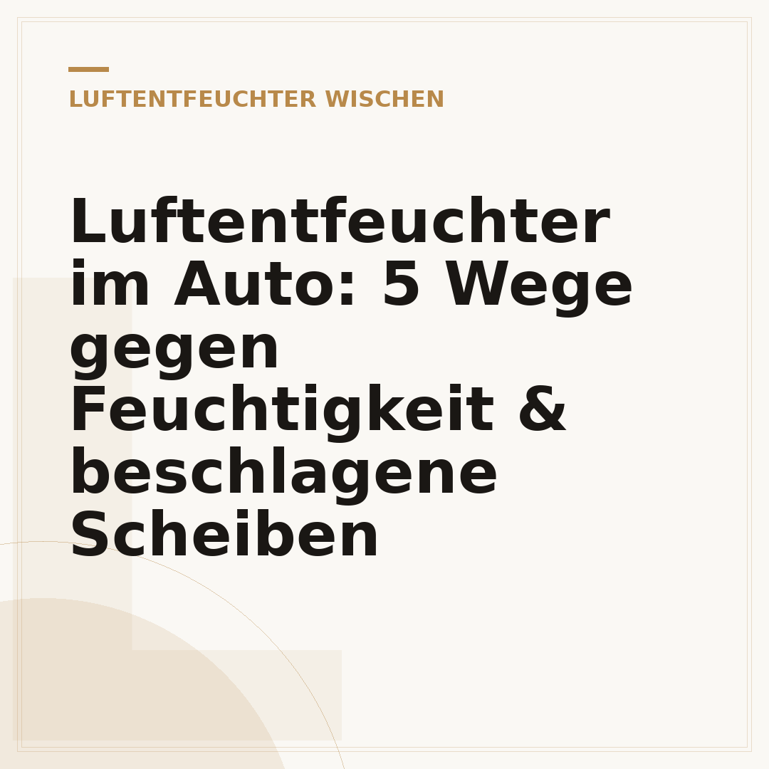Luftentfeuchter im Auto: 5 Wege gegen Feuchtigkeit & beschlagene Scheiben