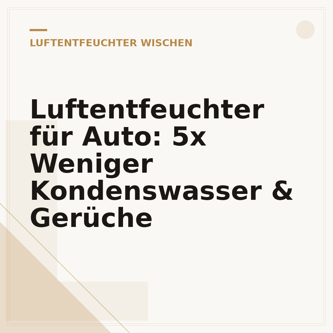 Luftentfeuchter für Auto: 5x Weniger Kondenswasser & Gerüche