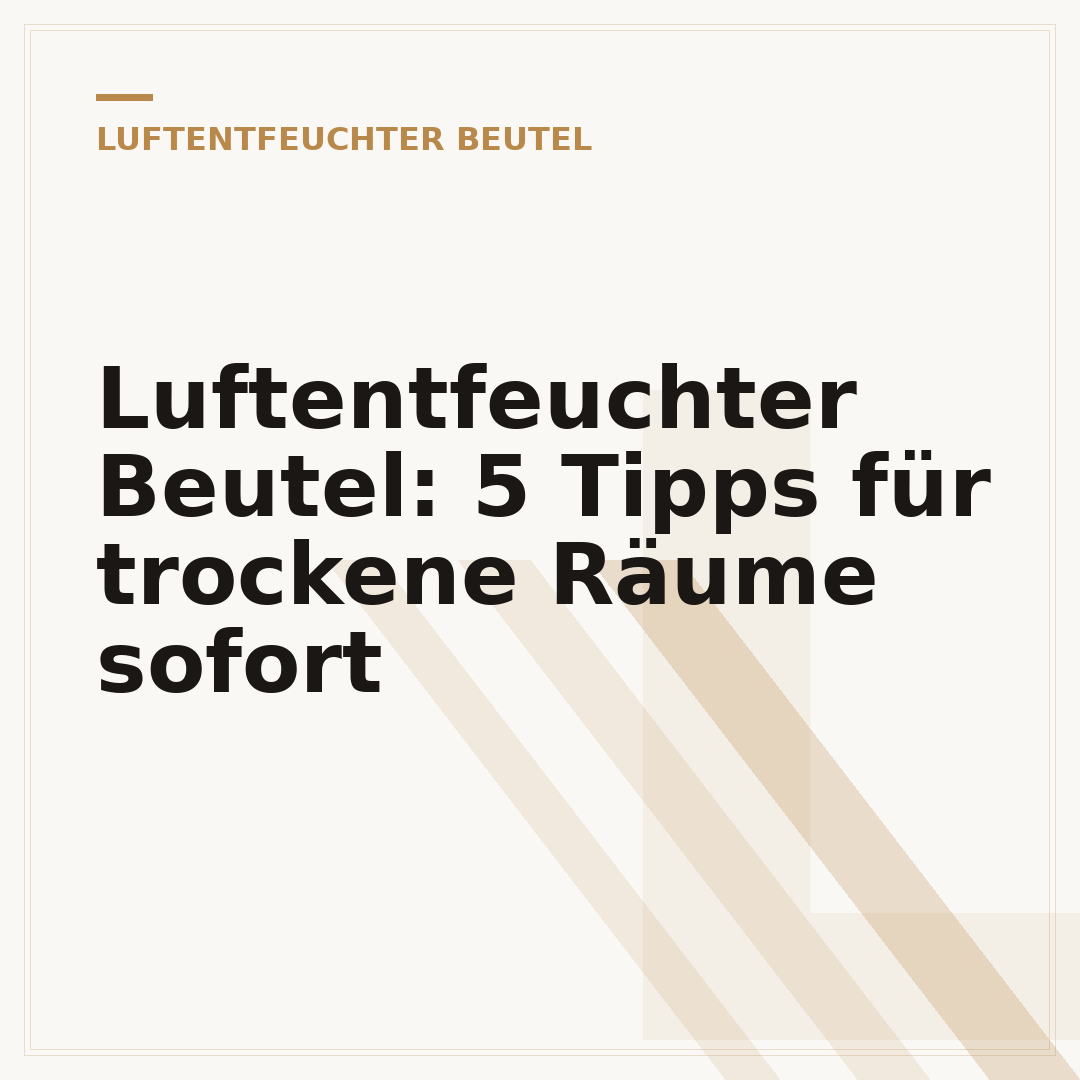 Luftentfeuchter Beutel: 5 Tipps für trockene Räume sofort