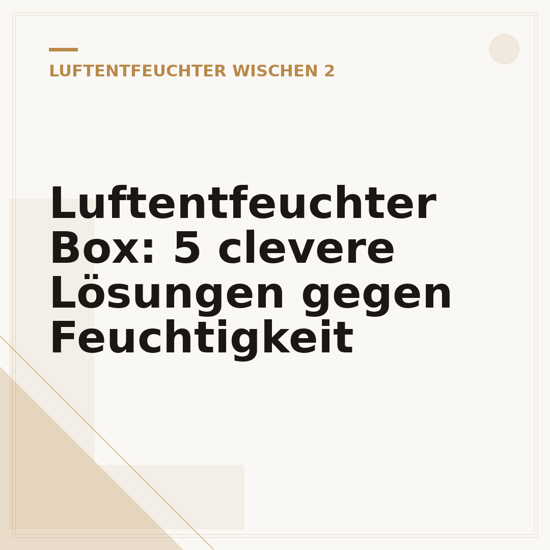 Luftentfeuchter Box: 5 clevere Lösungen gegen Feuchtigkeit