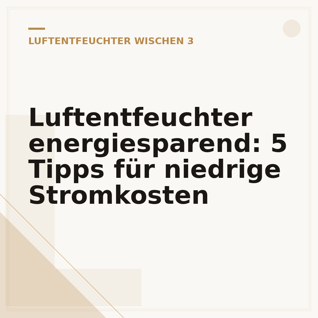 Luftentfeuchter energiesparend: 5 Tipps für niedrige Stromkosten