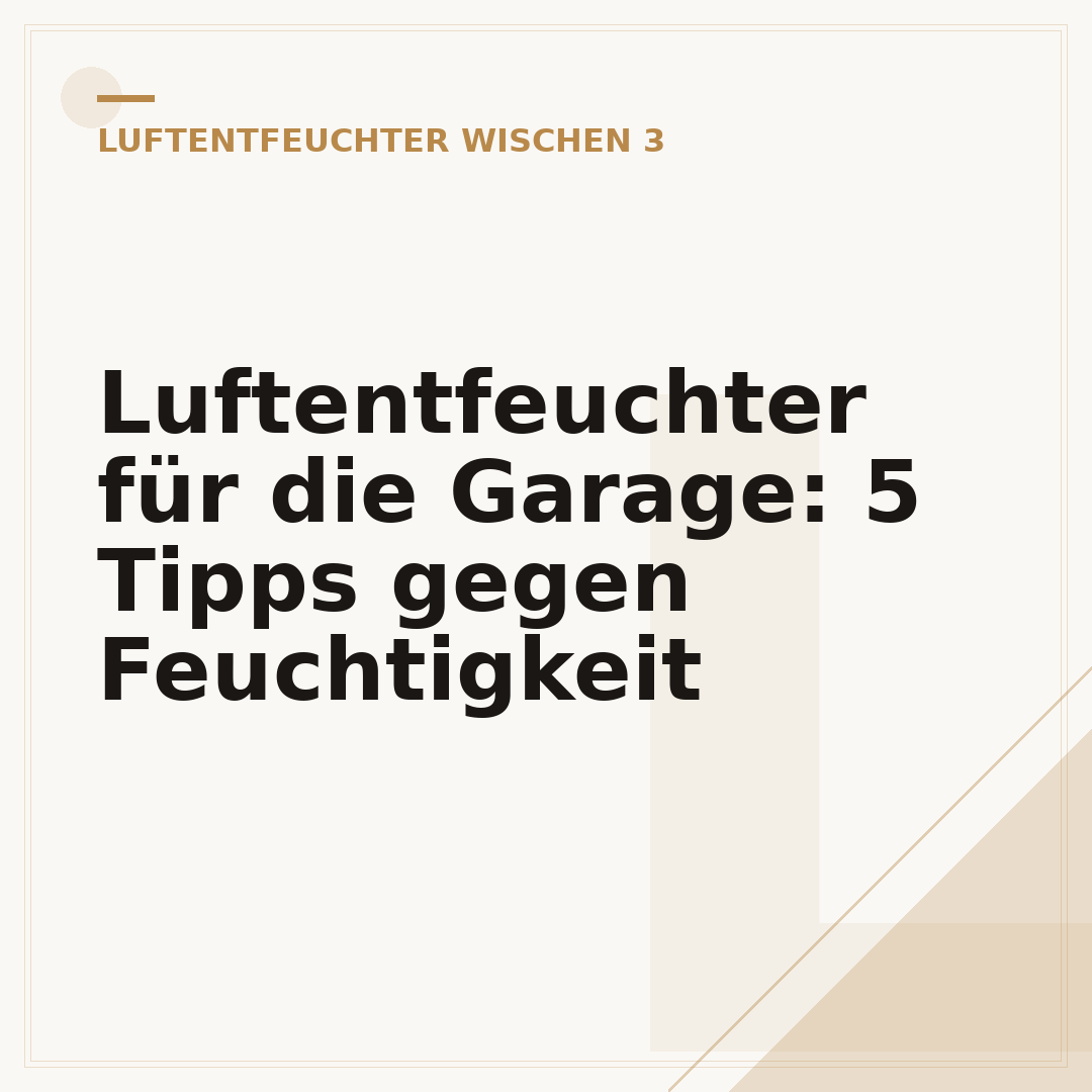 Luftentfeuchter für die Garage: 5 Tipps gegen Feuchtigkeit