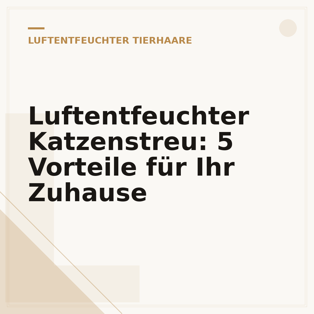 Luftentfeuchter Katzenstreu: 5 Vorteile für Ihr Zuhause