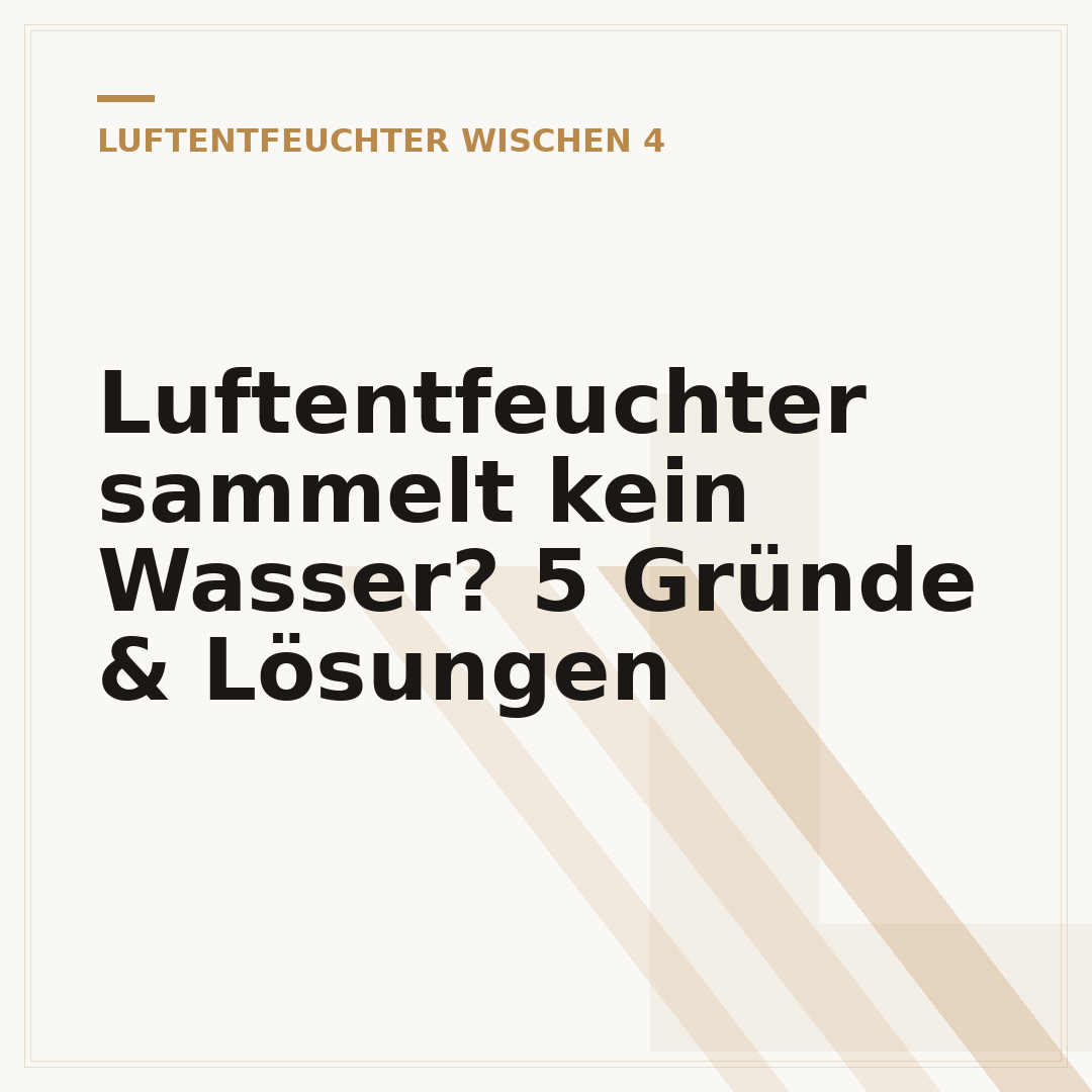 Luftentfeuchter sammelt kein Wasser? 5 Gründe & Lösungen