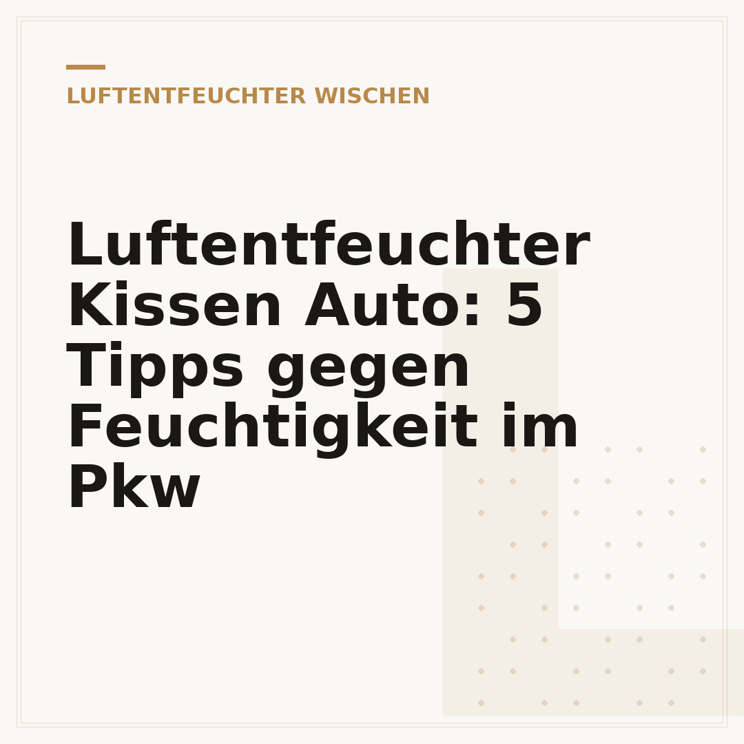 Luftentfeuchter Kissen Auto: 5 Tipps gegen Feuchtigkeit im Pkw