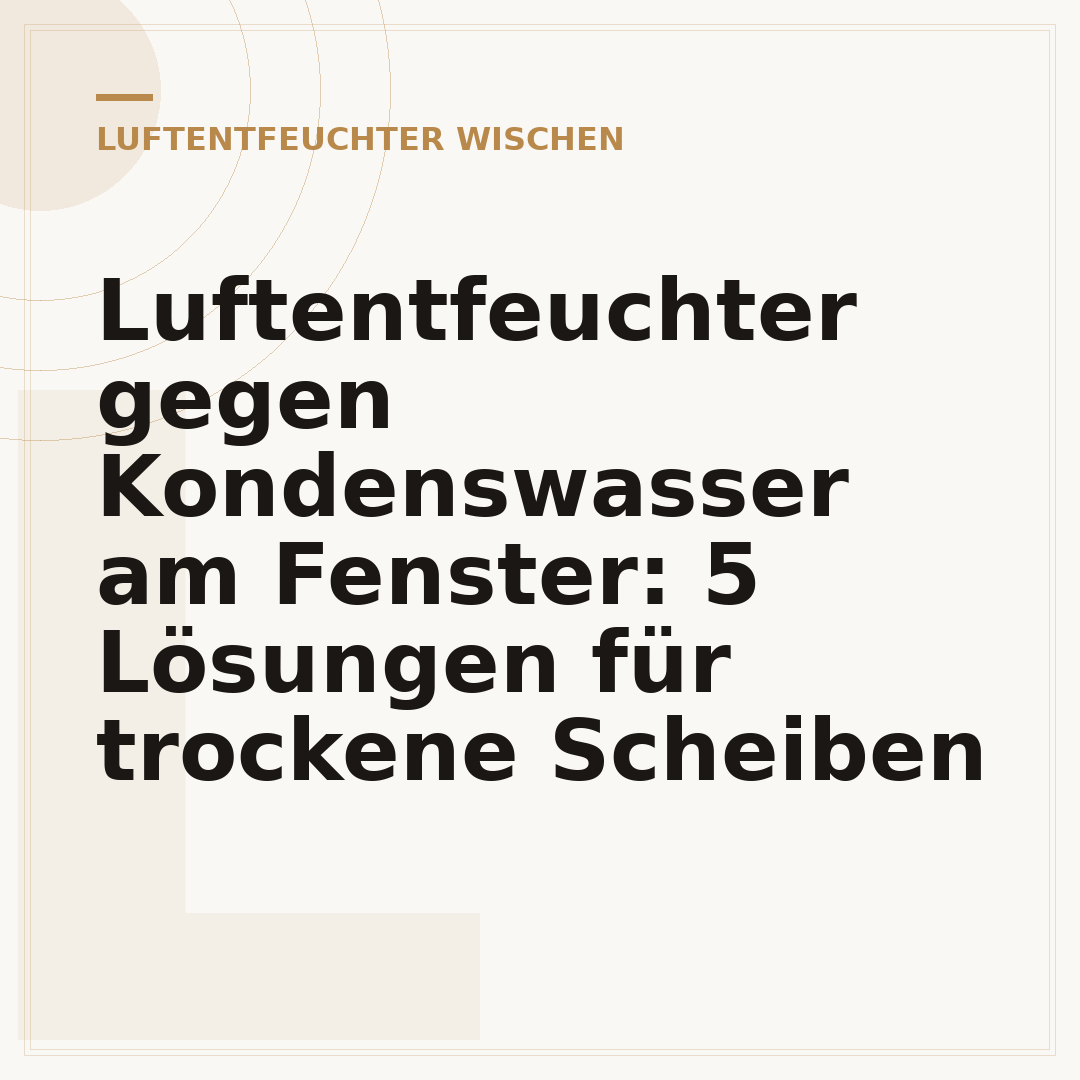 Luftentfeuchter gegen Kondenswasser am Fenster: 5 Lösungen für trockene Scheiben