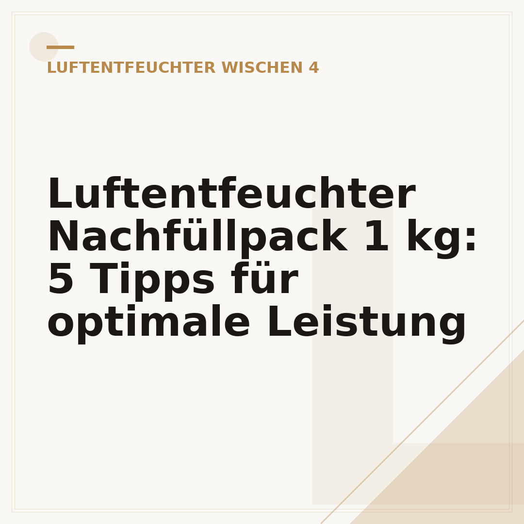 Luftentfeuchter Nachfüllpack 1 kg: 5 Tipps für optimale Leistung