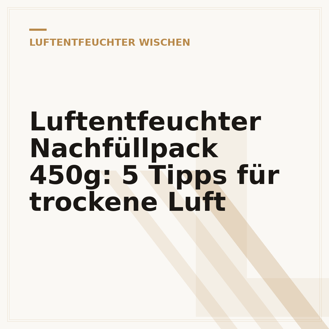 Luftentfeuchter Nachfüllpack 450g: 5 Tipps für trockene Luft