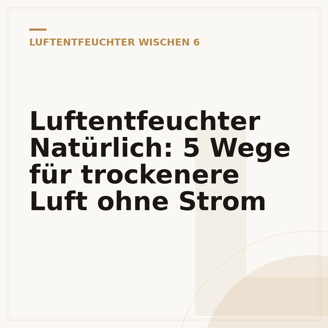 Luftentfeuchter Natürlich: 5 Wege für trockenere Luft ohne Strom