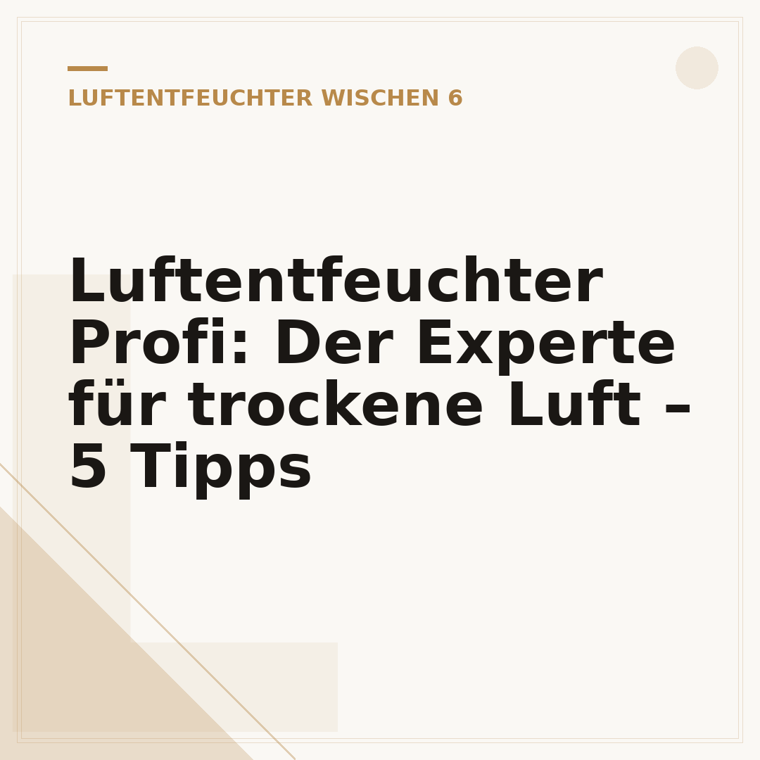 Luftentfeuchter Profi: Der Experte für trockene Luft – 5 Tipps