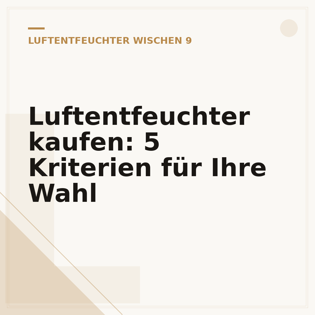 Luftentfeuchter kaufen: 5 Kriterien für Ihre Wahl