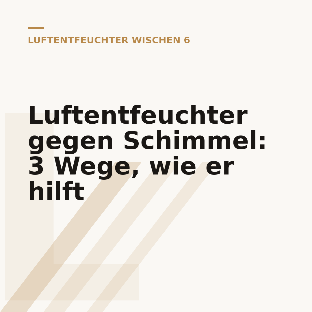 Luftentfeuchter gegen Schimmel: 3 Wege, wie er hilft
