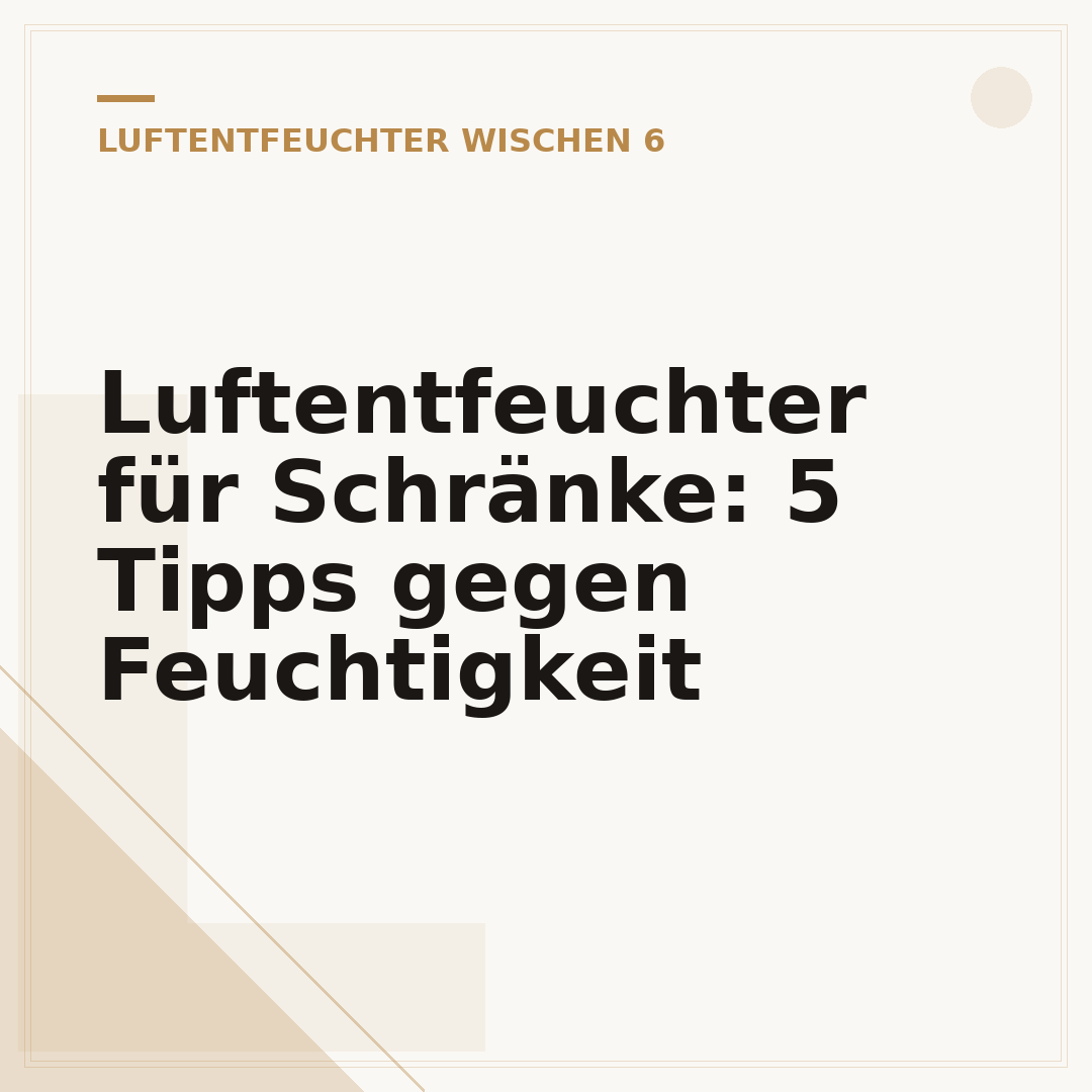 Luftentfeuchter für Schränke: 5 Tipps gegen Feuchtigkeit