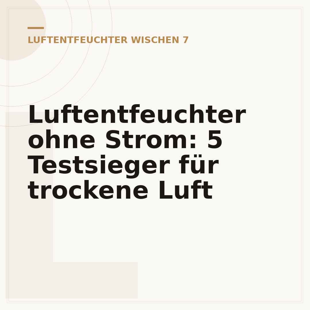 Luftentfeuchter ohne Strom: 5 Testsieger für trockene Luft