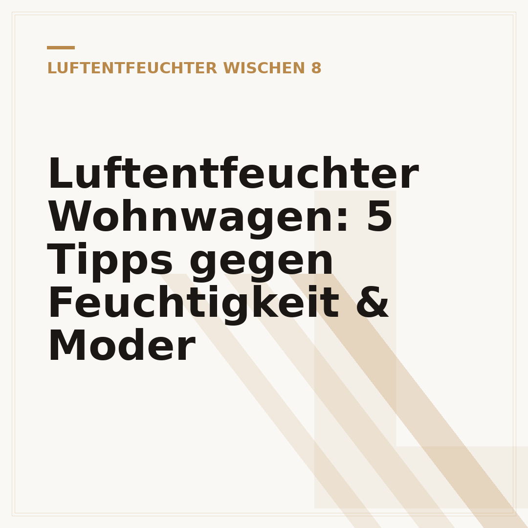 Luftentfeuchter Wohnwagen: 5 Tipps gegen Feuchtigkeit & Moder