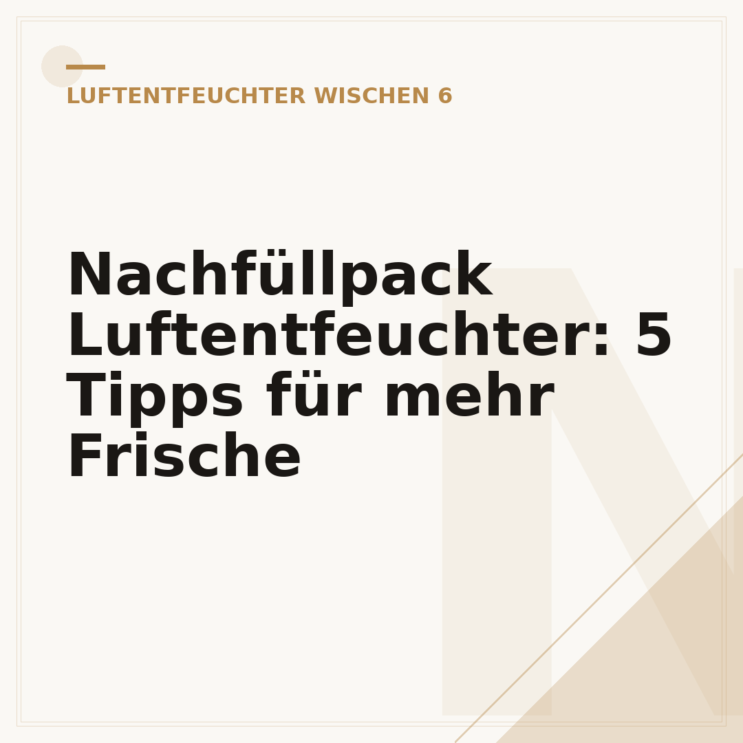 Nachfüllpack Luftentfeuchter: 5 Tipps für mehr Frische