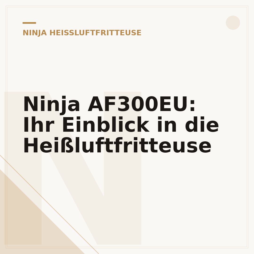 Ninja AF300EU: Ihr Einblick in die Heißluftfritteuse