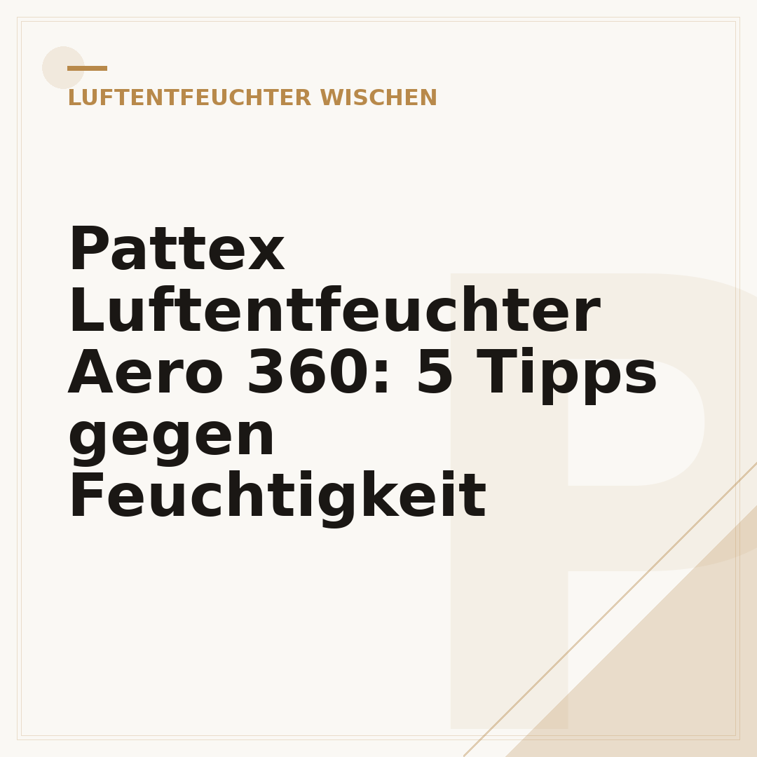 Pattex Luftentfeuchter Aero 360: 5 Tipps gegen Feuchtigkeit